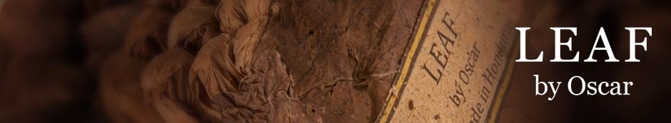 Leaf by Oscar Connecticut